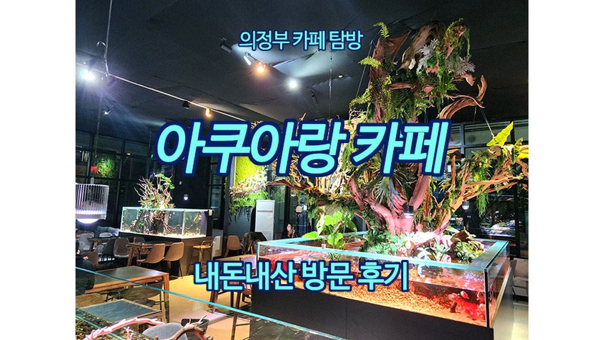 의정부 아쿠아랑 카페 방문기｜내돈내산 후기 & 분위기 리뷰